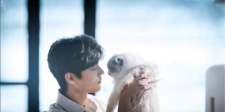 搜狗订阅:王中王一肖一特一中开奖时间-什么可以解酒