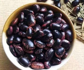搜狐订阅：2024澳门天天开好彩资料-虎毒不食子是什么意思