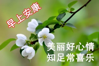 百家号:2024澳门新资料大全免费直播-怎么找快递公司寄东西