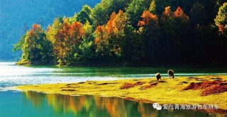 搜狐:澳门4949彩论坛高手-九寨沟怎么游