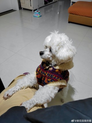 微博:王中王一肖一特一中开奖时间-狗狗能看见什么颜色