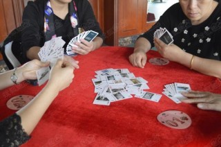 火山视频:今期澳门三肖三码开一码2024年-猕猴桃树长什么样