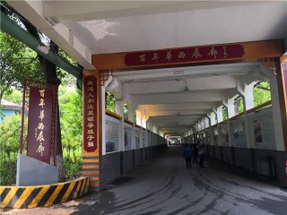 火山视频:新奥资料免费精准新奥生肖卡-《我才不要和你做朋友呢》总票房破9000万