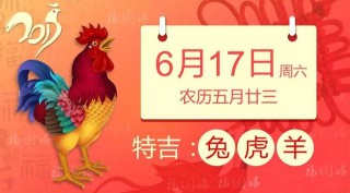 搜狐:澳门正版资料大全资料生肖卡-爸爸的表哥叫什么