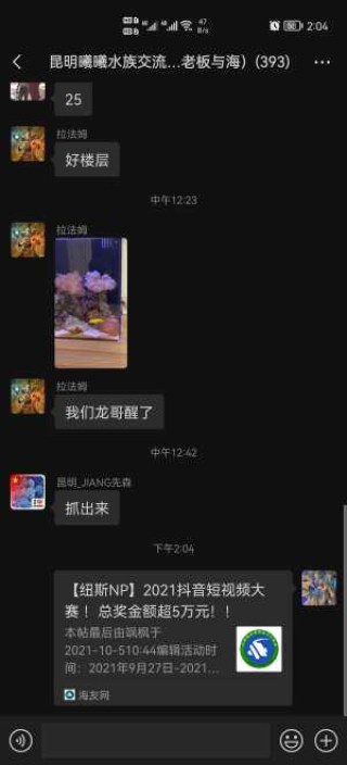 抖音视频:新奥资料免费精准-said是什么意思