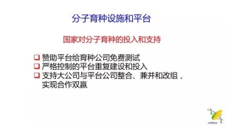 搜狗订阅:澳门正版大全免费资料-江水暴涨有人挑战激流 路人:不要命