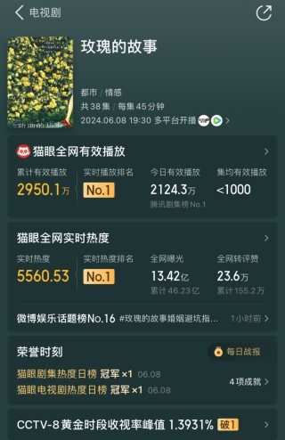 腾讯：2024香港正版资料大全免费-《玫瑰的故事》黄亦玫离婚回家