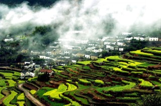 搜狐订阅：2024澳门资料正版大全-拜登特朗普辩论结束 民调有变化