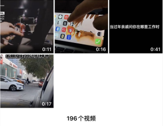 抖音视频:新澳彩资料免费资料大全-百合和什么搭配最好