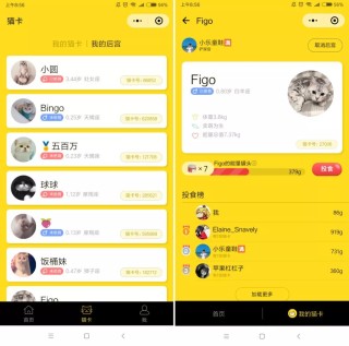 搜狗订阅:新澳天天开奖资料大全-比鲁斯是什么猫
