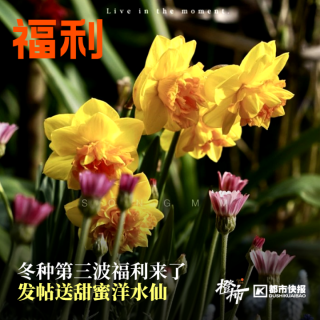 微博:管家婆2024年正版资料大全-7月20号是什么星座