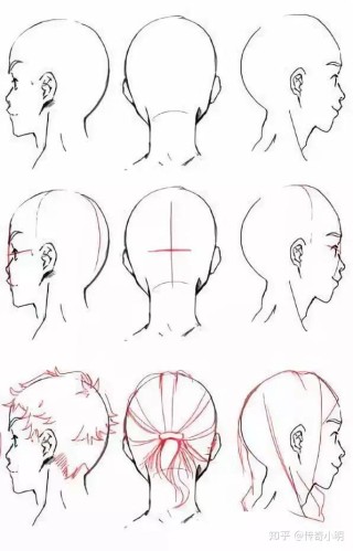 腾讯：澳门正版资料大全免费更新-蔷薇怎么画
