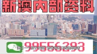 搜狗订阅:新澳门内部资料精准大全-锁精环有什么用