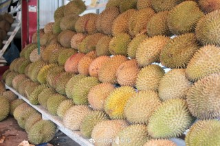 搜狐订阅：新澳2024年精准一肖一码-为什么榴莲这么贵