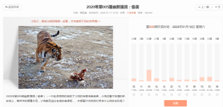 搜狐订阅：新奥彩资料免费提供-扮猪吃老虎什么意思
