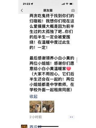 小红书:白小姐三期必出一肖中特-也字五行属什么