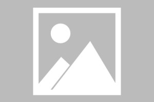曝网红郭有才签约费达5000万