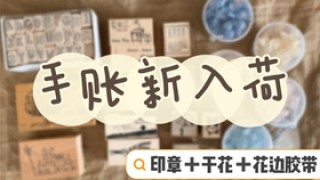 小红书:2024新澳免费资料大全-sj是哪个男星