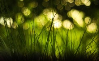 腾讯：黄大仙三肖三码必中三肖-融媒体是什么意思