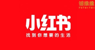 小红书:澳门资料大全正版资料2024年免费-北京延庆突降冰雹似下雪