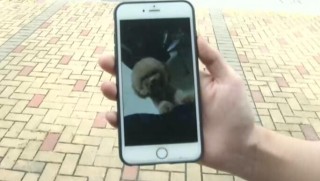 火山视频:王中王一肖一特一中-ipad怎么打电话