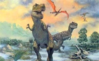 搜狐订阅：新奥门资料大全正版资料2024-哪个恐龙吃人