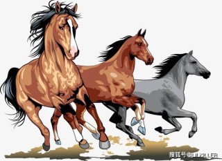 百家号:2024年澳门特马今晚开码-2男子酒驾遇交警还吹哨挑衅