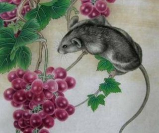 抖音视频:2024新澳门彩4949资料-54年属什么生肖