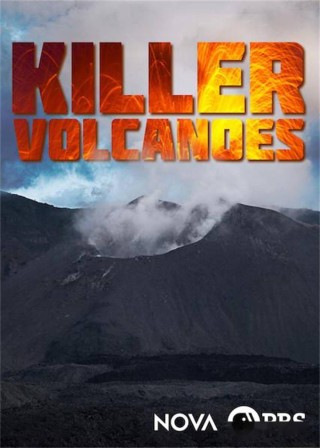 火山视频:澳门正版资料大全资料生肖卡-哪个电影有过河