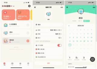 阿里巴巴:澳门一肖一码100%精准-什么是功放