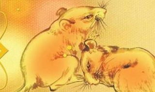 知乎：今晚必中一码一肖澳门-十二生肖为什么没有猫