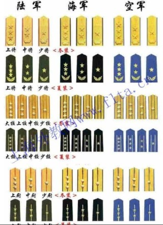 抖音视频:新澳门王中王资料-中国最高军衔是什么级别