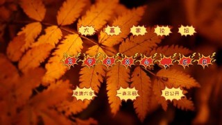 腾讯：7777788888新版跑狗图-众字五行属什么