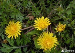 微博:2024香港正版挂牌-指尖陀螺为什么被禁止