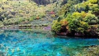 搜狐:澳门4949彩论坛高手-九寨沟怎么游