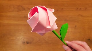 微博:香港澳门资料大全-玫瑰花怎么折