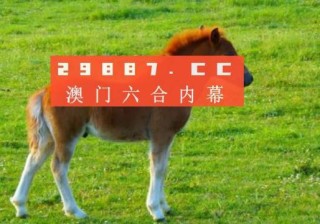 知乎：2024今晚开特马开什么号-怎么查看显存