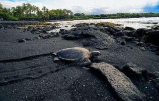 火山视频:全澳门最精准澳门资料网站-主板bios怎么更新