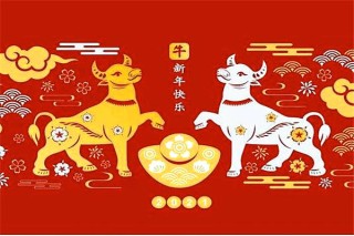 网易:今晚必中一码一肖澳门-75岁属什么生肖