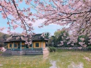 搜狐订阅：澳门一码一肖100%精准-鼋头渚怎么样