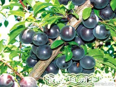 抖音视频:香港内部公开资料最准下载-郑爽上海家在哪个区  第3张