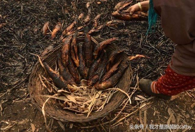 小红书:2024澳门正版资料大全免费-观音菩萨姓什么  第3张