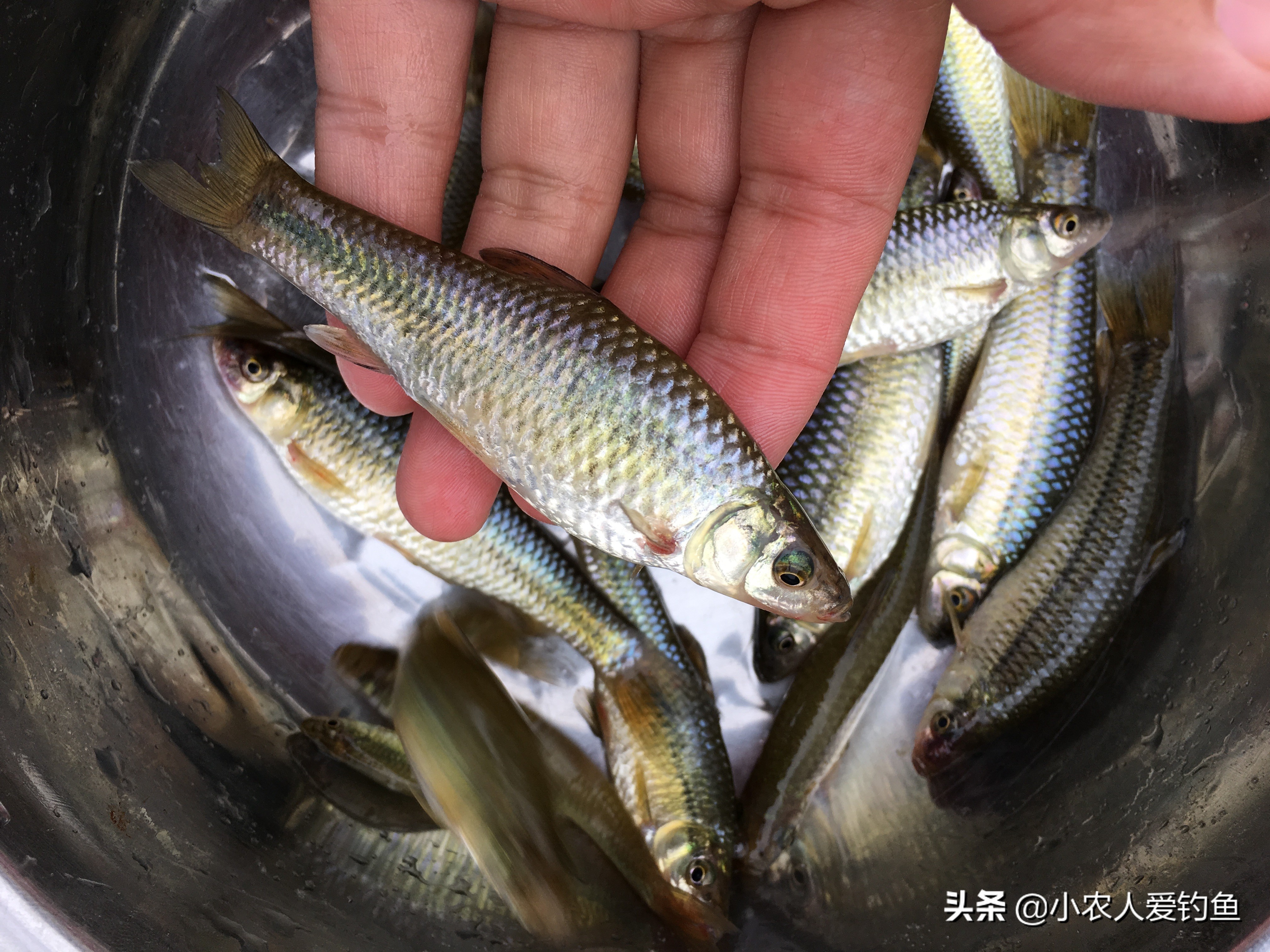 百家号：欧洲杯下单平台官方版下载-欧洲杯下单平台手机版/最新版-怎么游云南  第1张