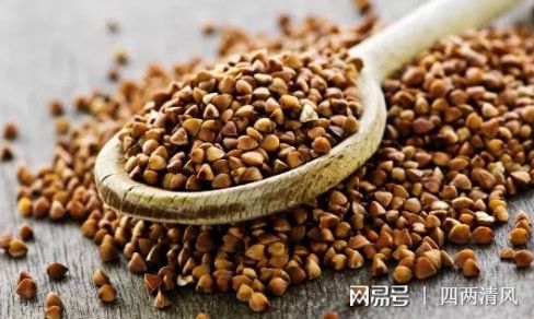 网易:2024新澳免费资料大全-甘油三酯高吃什么食物降得快  第2张