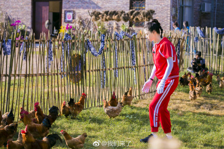 腾讯：澳门最快最精准资料大全-白天怎么抓鸡  第2张