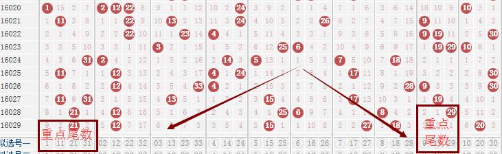 知乎：澳门王中王100%资料2023-骰子怎么做  第2张