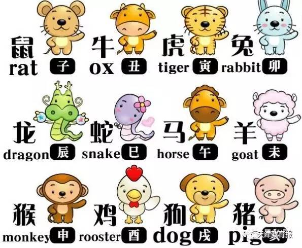 搜狐:澳门正版资料大全资料生肖卡-尴尬的反义词是什么  第1张
