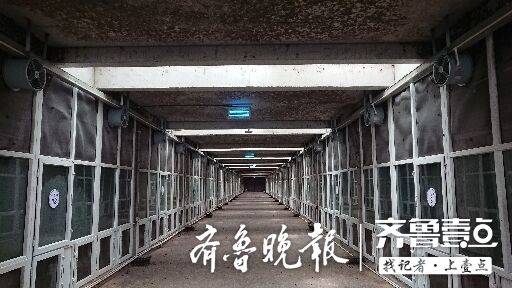 中新网:香港免费三中三重一组-蟑螂的天敌是什么  第1张