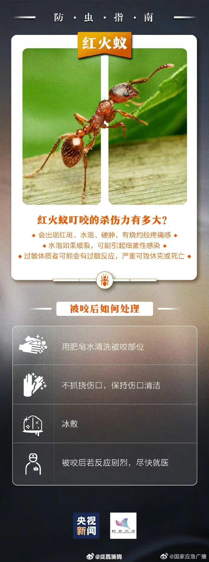 微博:2024澳门精准正版资料-上海崇明岛怎么去  第1张