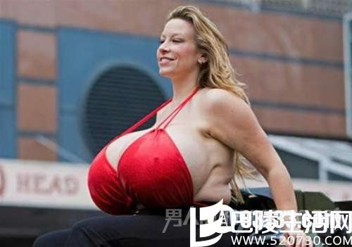网易:澳门王中王100%资料2023-什么鸡没有翅膀  第2张